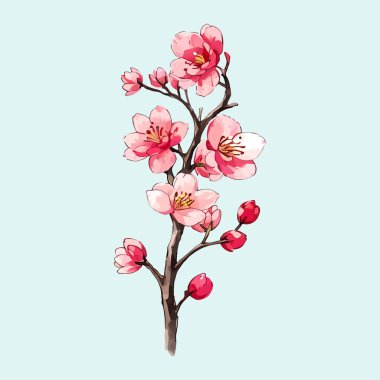 Suluboya vektörü Kiraz Çiçekleri, Sakura Çiçeği, Pembe Çiçek Kırmızı Çiçek Koleksiyonu