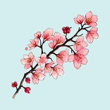 Suluboya vektörü Kiraz Çiçekleri, Sakura Çiçeği, Pembe Çiçek Kırmızı Çiçek Koleksiyonu