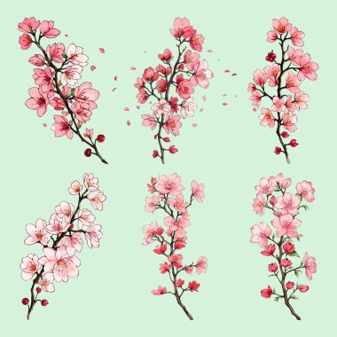 Suluboya vektörü Kiraz Çiçekleri, Sakura Çiçeği, Pembe Çiçek Kırmızı Çiçek Koleksiyonu