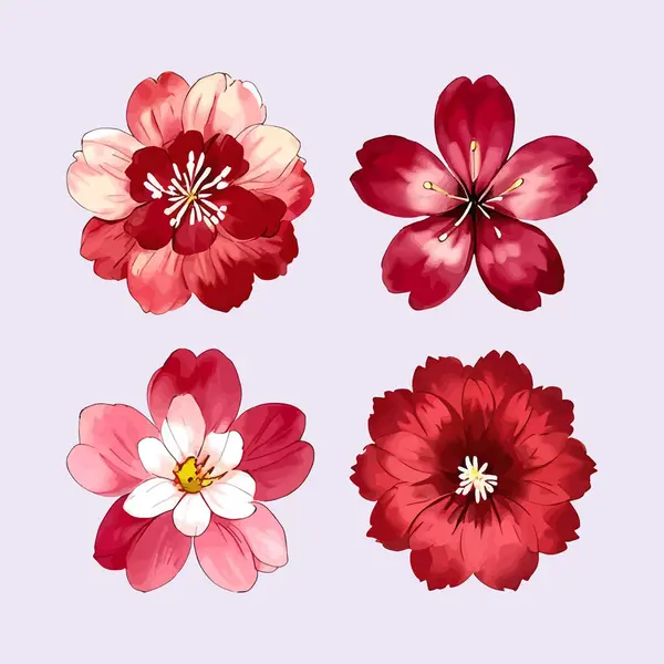 Suluboya vektörü Kiraz Çiçekleri, Sakura Çiçeği, Pembe Çiçek Kırmızı Çiçek Koleksiyonu