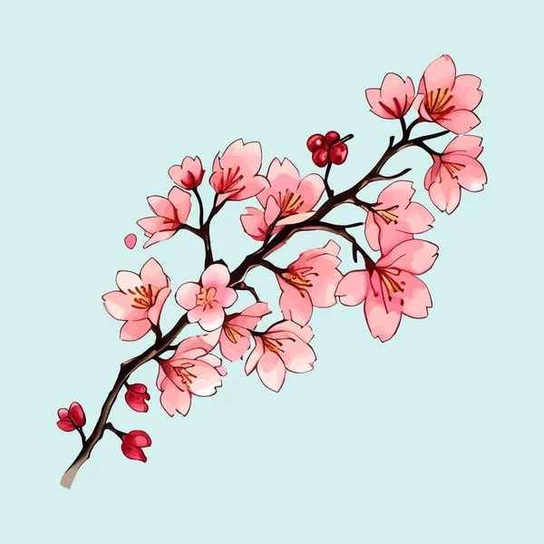 Suluboya vektörü Kiraz Çiçekleri, Sakura Çiçeği, Pembe Çiçek Kırmızı Çiçek Koleksiyonu