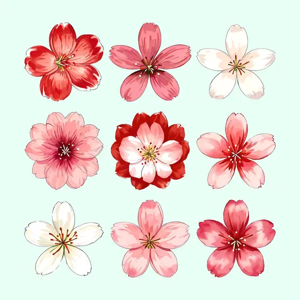 Suluboya vektörü Kiraz Çiçekleri, Sakura Çiçeği, Pembe Çiçek Kırmızı Çiçek Koleksiyonu