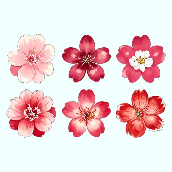 Suluboya vektörü Kiraz Çiçekleri, Sakura Çiçeği, Pembe Çiçek Kırmızı Çiçek Koleksiyonu