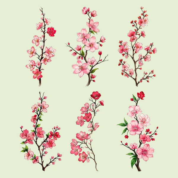Suluboya vektörü Kiraz Çiçekleri, Sakura Çiçeği, Pembe Çiçek Kırmızı Çiçek Koleksiyonu
