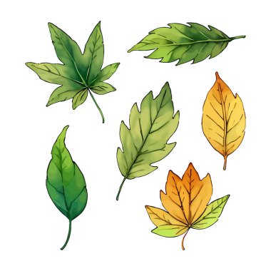 Çiçek çiçeği suluboya vektörü düğün için çizim yapıyor