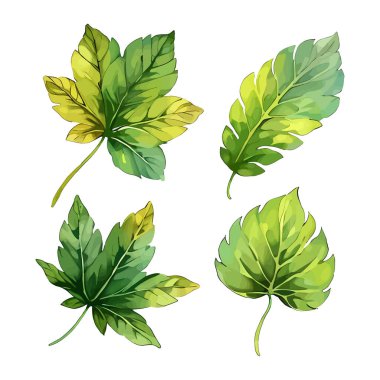 Çiçek çiçeği suluboya vektörü düğün için çizim yapıyor