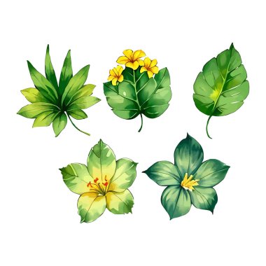 Çiçek çiçeği suluboya vektörü düğün için çizim yapıyor