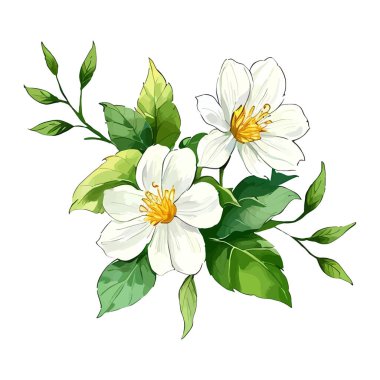 Suluboya vektör çiçeği ve düğün davetiyesi ve bitkiler için yapraklar