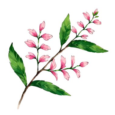 Suluboya vektör çiçeği ve düğün davetiyesi ve bitkiler için yapraklar