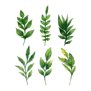 Çiçek yapraklarının suluboya vektörü düğün kartı için yaprak koleksiyonu çizimi