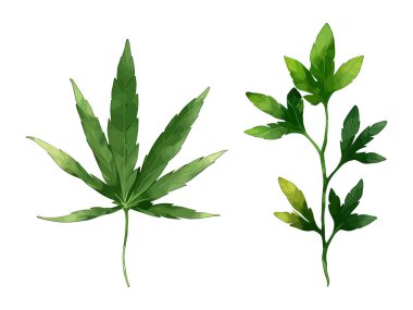 Çiçek yapraklarının suluboya vektörü düğün kartı için yaprak koleksiyonu çizimi