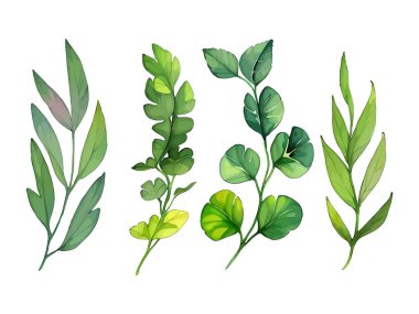 Çiçek yapraklarının suluboya vektörü düğün kartı için yaprak koleksiyonu çizimi