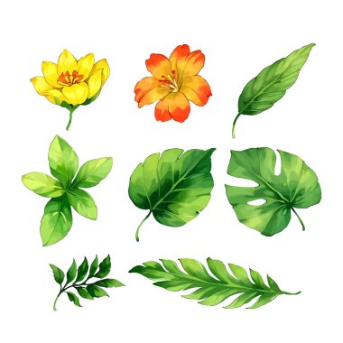 Çiçek yapraklarının suluboya vektörü düğün kartı için yaprak koleksiyonu çizimi