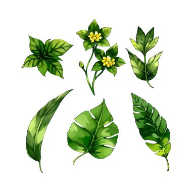 Çiçek yapraklarının suluboya vektörü düğün kartı için yaprak koleksiyonu çizimi