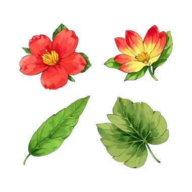Çiçek yapraklarının suluboya vektörü düğün kartı için yaprak koleksiyonu çizimi