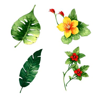 Çiçek yapraklarının suluboya vektörü düğün kartı için yaprak koleksiyonu çizimi