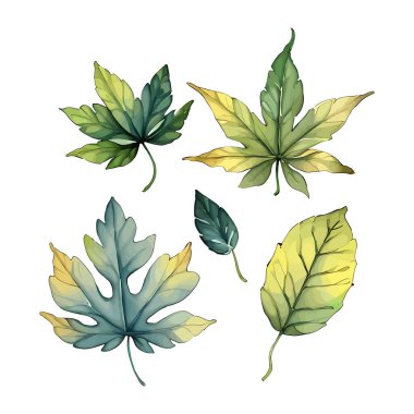 Çiçek yapraklarının suluboya vektörü düğün kartı için yaprak koleksiyonu çizimi