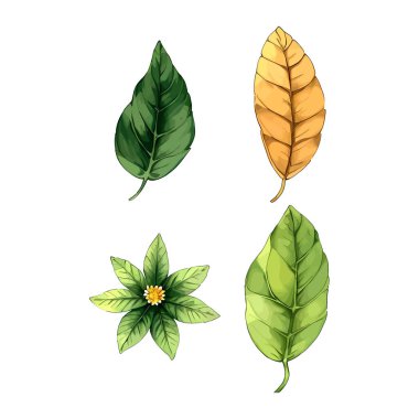 Çiçek yapraklarının suluboya vektörü düğün kartı için yaprak koleksiyonu çizimi