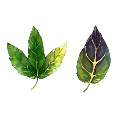 Çiçek yapraklarının suluboya vektörü düğün kartı için yaprak koleksiyonu çizimi