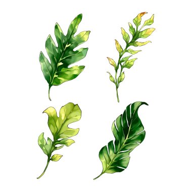 Çiçek yapraklarının suluboya vektörü düğün kartı için yaprak koleksiyonu çizimi