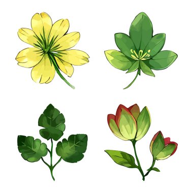 Çiçek yapraklarından oluşan suluboya vektör seti yaprak koleksiyonu çiçek ve botanik çizimleri