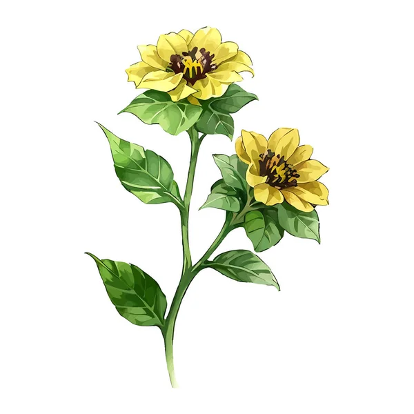 Çiçek çiçeği suluboya vektörü düğün için çizim yapıyor