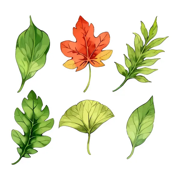 Çiçek çiçeği suluboya vektörü düğün için çizim yapıyor