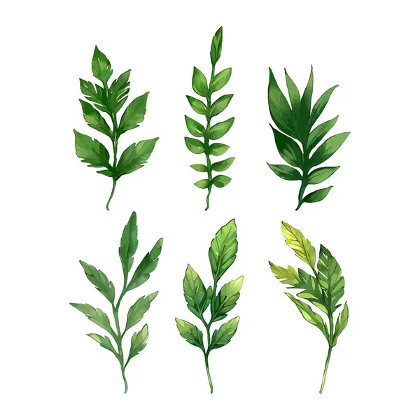 Çiçek yapraklarının suluboya vektörü düğün kartı için yaprak koleksiyonu çizimi