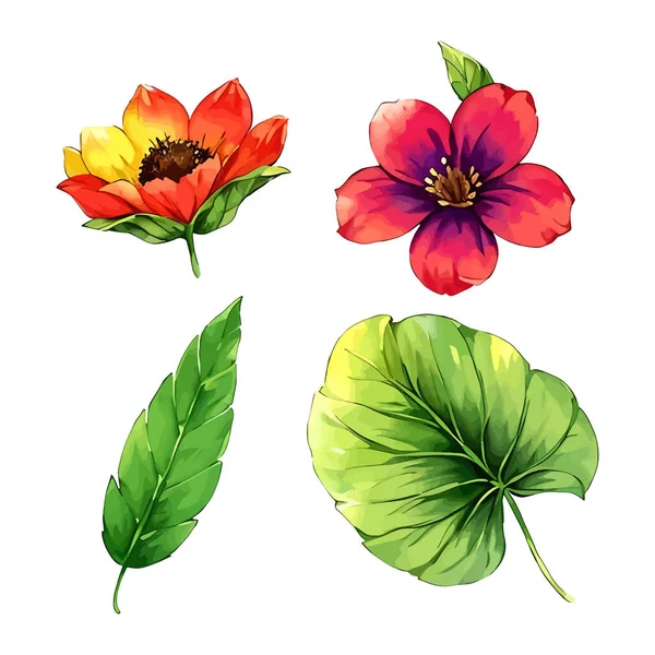 Çiçek yapraklarından oluşan su rengi vektörü düğün kartı için yaprak koleksiyonu