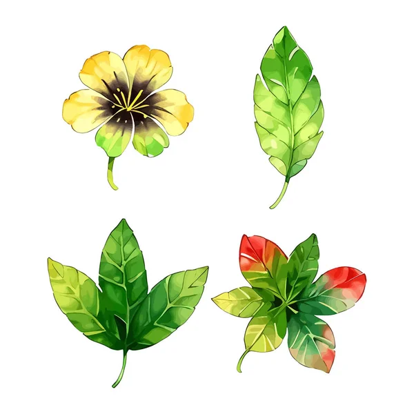 Çiçek yapraklarının suluboya vektörü düğün kartı için yaprak koleksiyonu çizimi