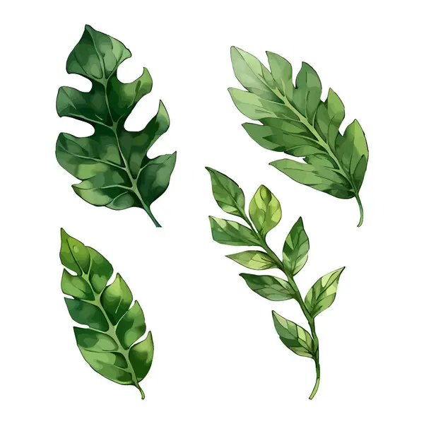 Çiçek yapraklarının suluboya vektörü düğün kartı için yaprak koleksiyonu çizimi