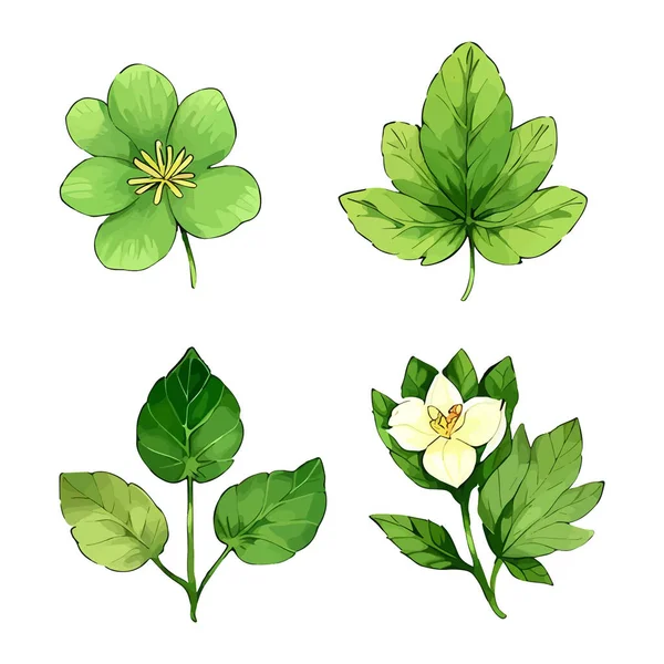 Çiçek yapraklarından oluşan suluboya vektör seti yaprak koleksiyonu çiçek ve botanik çizimleri