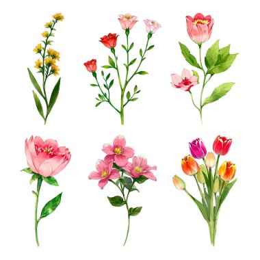 Çiçek yapraklarından oluşan suluboya vektör seti yaprak koleksiyonu çiçek ve botanik çizimleri