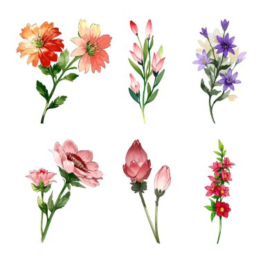 Suluboya vektör bahar çiçekleri toplanıyor Çiçekler ve Botanika