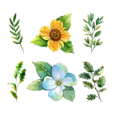 Doğal dalları ve yaprakları olan suluboya bir çiçek seti