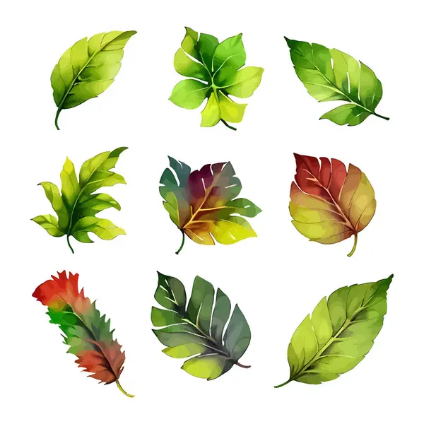 Çiçek yapraklarından oluşan suluboya vektör seti yaprak koleksiyonu çiçek ve botanik çizimleri