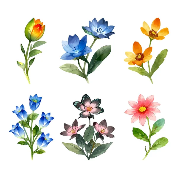 Çiçek yapraklarından oluşan suluboya vektör seti yaprak koleksiyonu çiçek ve botanik çizimleri