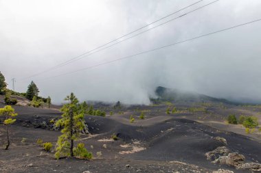 La Palma adasında volkan patikası (Kanaryalar, İspanya)