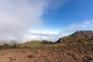 La Palma adasındaki Cumbre Vieja Doğal Parkı 'ndaki dağ manzarası (Kanarya Adaları, İspanya)