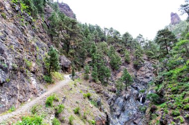 İspanya 'nın Kanarya Adaları, La Palma adasındaki 