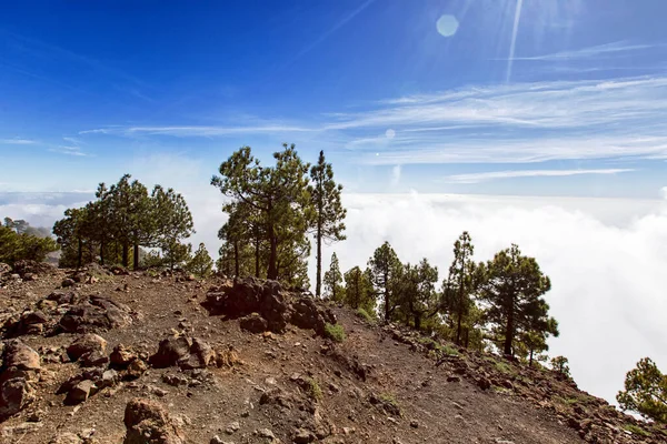 Pico Bejenado Som Södra Gränsen Caldera Taburiente Palma Kanarieöarna Spanien — Stockfoto