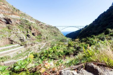 La Palma (İspanya) adasındaki 