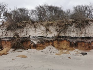 Erosion the german coast of the Baltic Sea after a heavy storm surge clipart