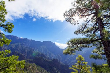 La Palma adasındaki 