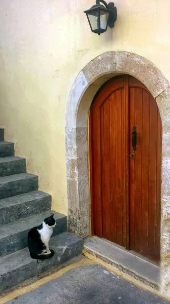 クレタ島のプレヴェリ修道院の木製のドアの前に猫が待っています ギリシャ ロイヤリティフリーのストック画像