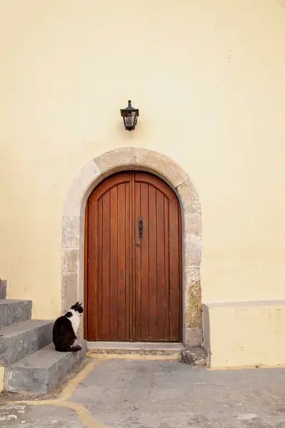 クレタ島のプレヴェリ修道院の木製のドアの前に猫が待っています ギリシャ ストックフォト