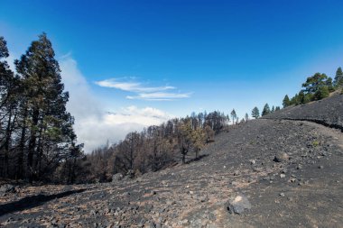 La Palma (Kanaryalar, İspanya) adasında 