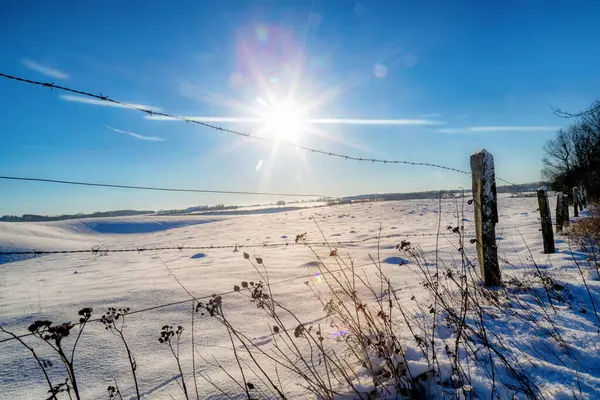 Kuzey Almanya 'da bir tarım arazisi üzerinde beyaz kış manzarası (Rostock)