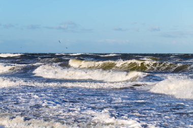 Alman Baltık Denizi kıyısındaki bir fırtına dalgası sırasında (Rostock)