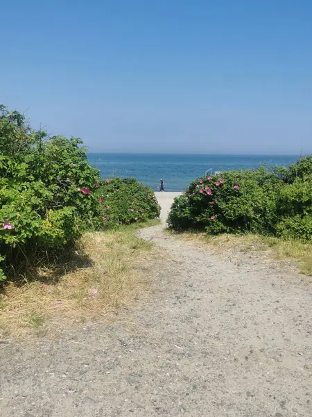 stock image an entrance through the dunes to the Baltic Sea beach in northern Germany